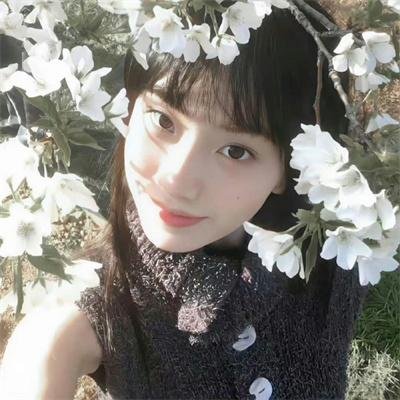 新甘十九妹