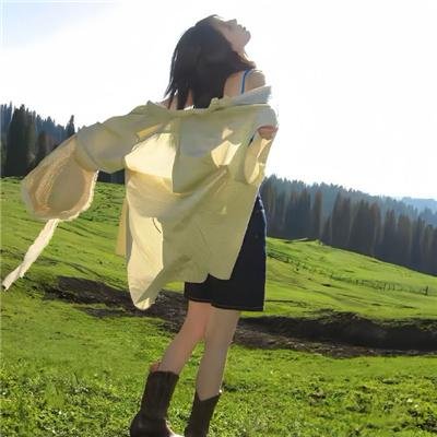军犬麦斯 2：白宫英雄